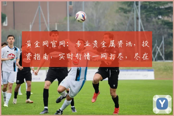 黄金网官网：专业贵金属资讯，投资指南，实时行情一网打尽，尽在黄金网官网